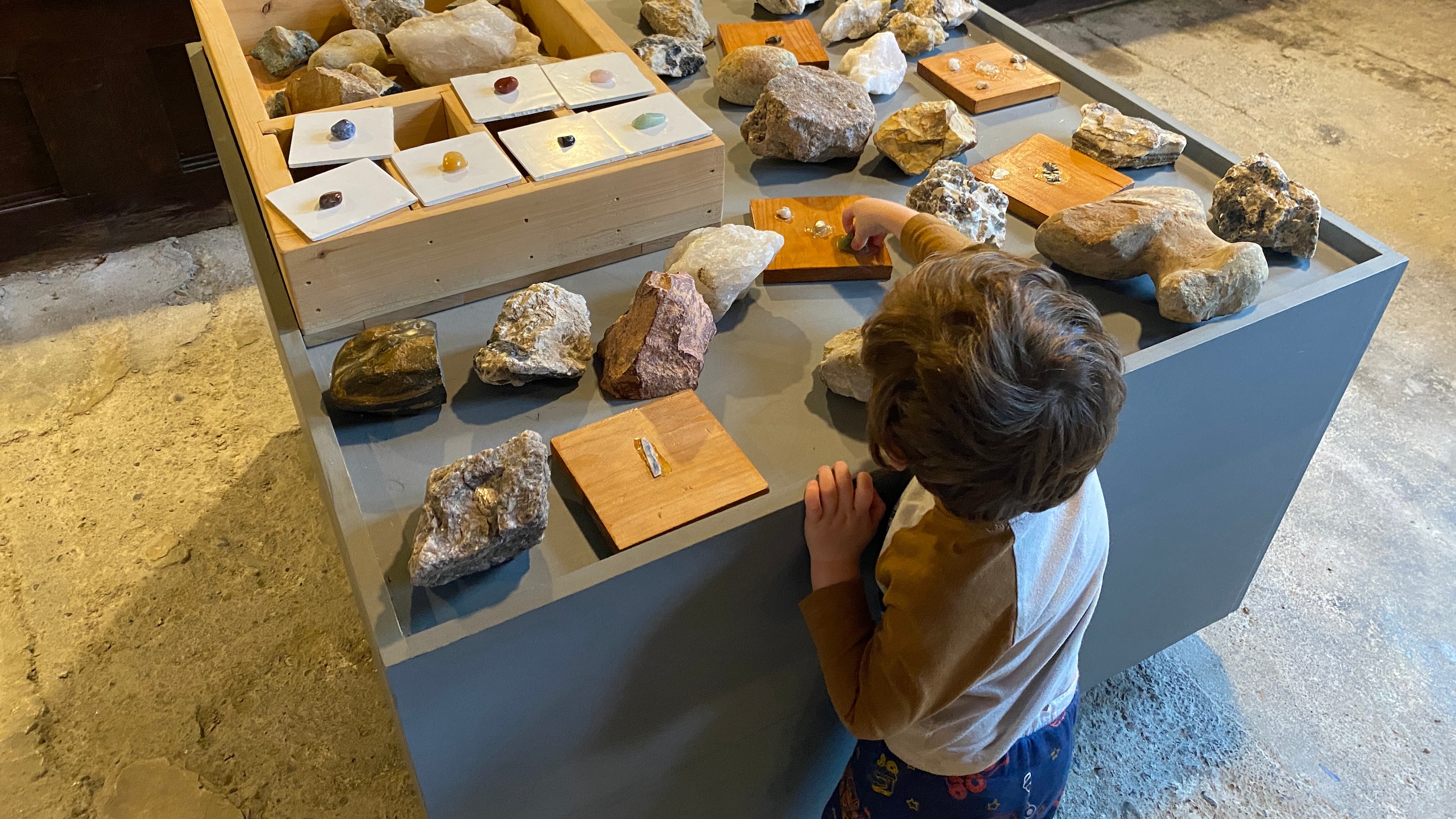 L. C. Bates Museum Child Touching the Rock Display on a Table