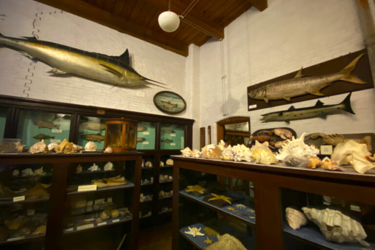 LC Bates Museum Hinckley 768x512