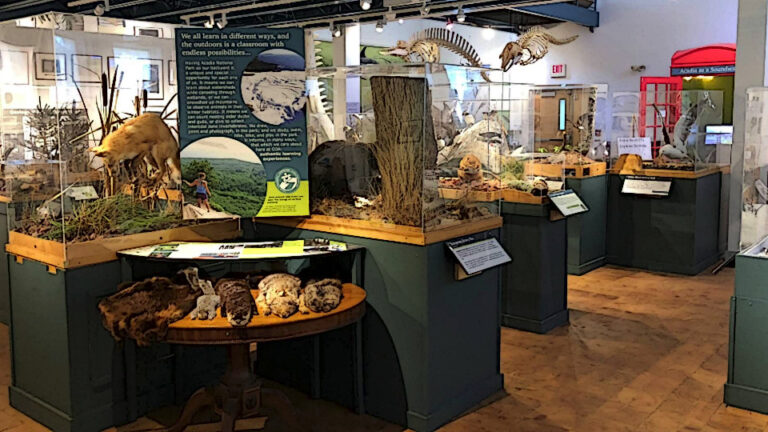 Dorr Museum of Natural History Bar Harbor 768x432