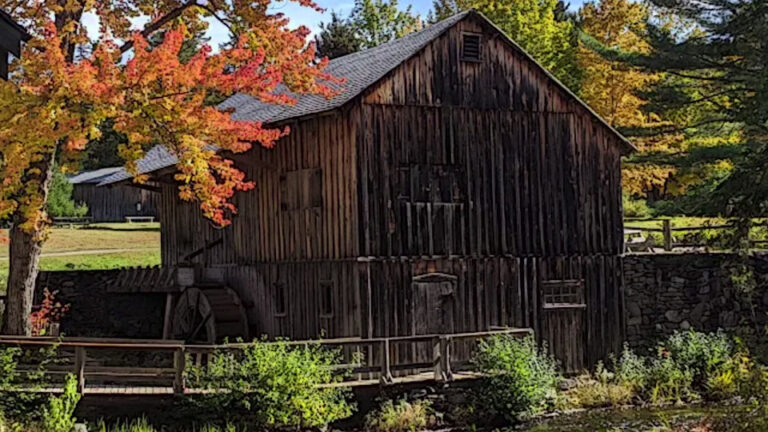 Maine Forest and Logging Museum Bradley 768x432