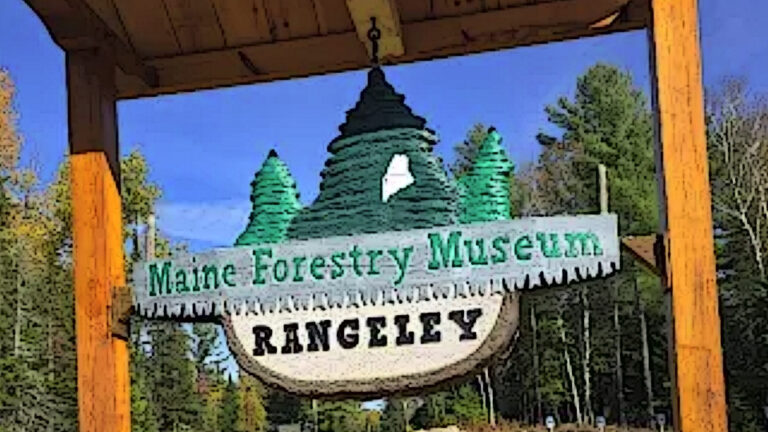 Maine Forestry Museum Rangeley 768x432