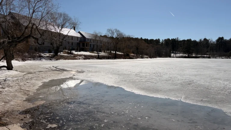 Johnson Pond Waterville Sunny Day 1 768x432