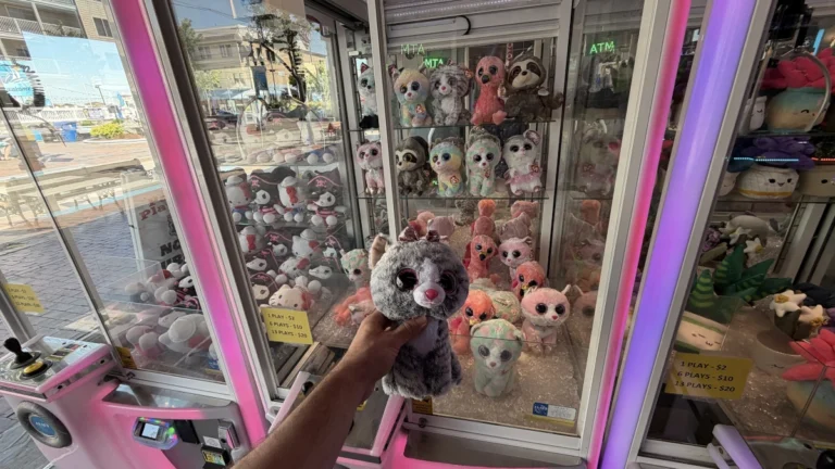 Palace Playland Crane Game Winner Palace Playland Crane Game Winner 768x432
