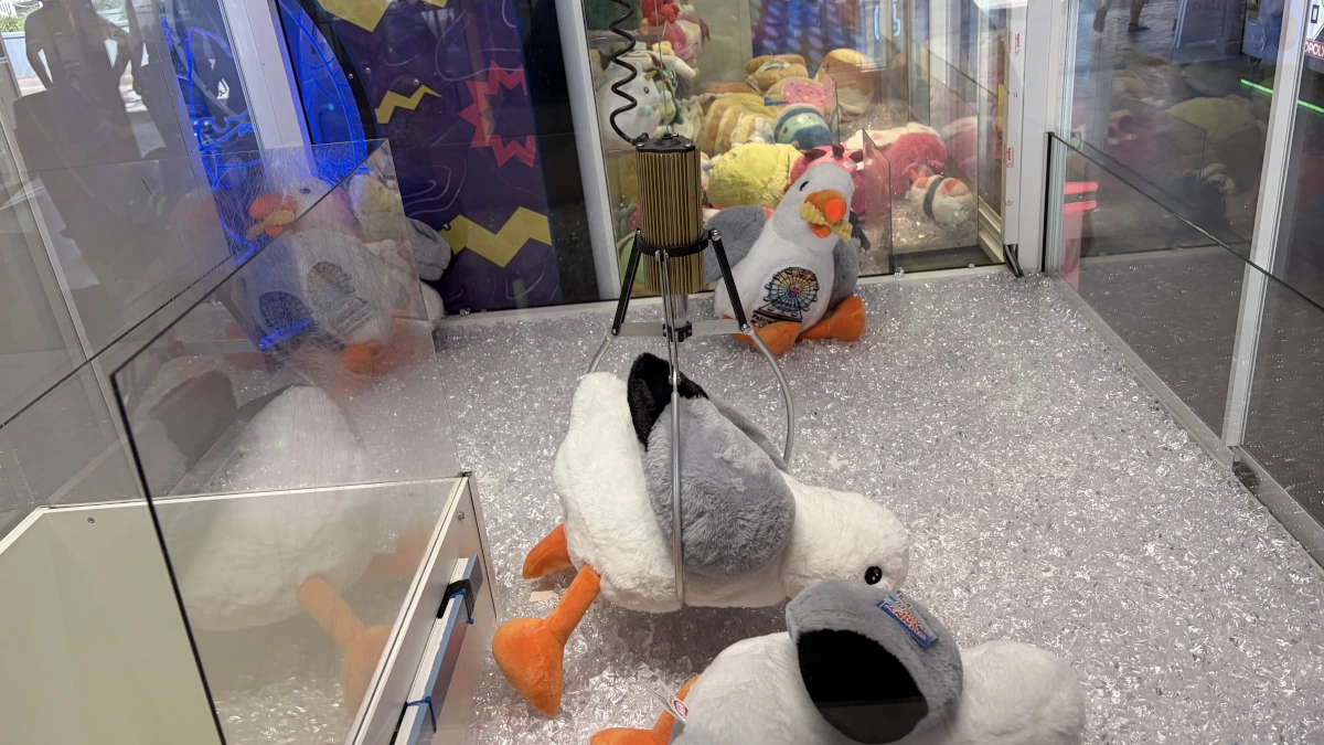 Palace Playland Old Orchard Beach Seagull