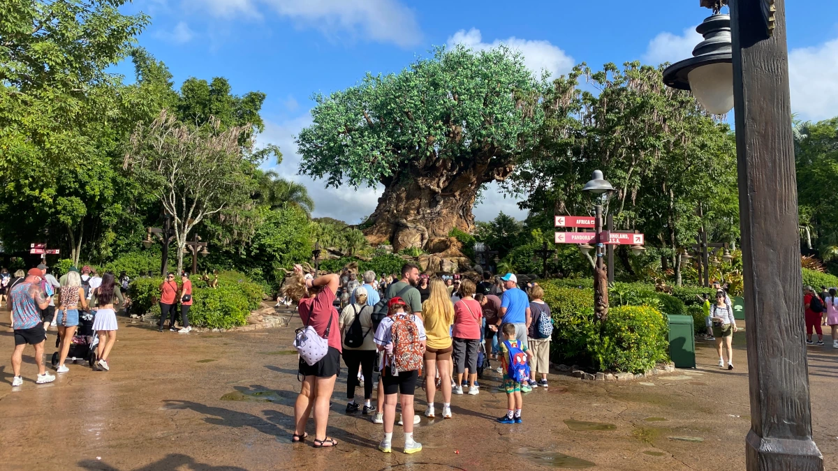 Disney Animal Kingdom Tree Tree of Life from afar at Animal Kingdom in Disney World.