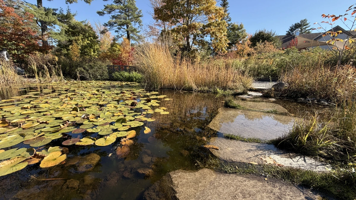 Botanical Gardens Water Path
